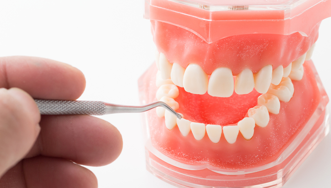 大阪市鶴見区のマタニティ歯科